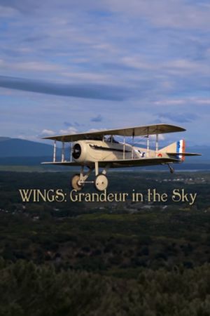 Wings: Grandeur in the Sky's poster