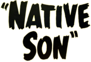 Native Son's poster