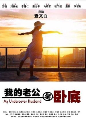 我的老公是卧底's poster