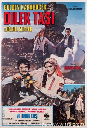 Dilek Tasi's poster