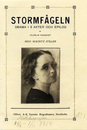 Stormfågeln's poster
