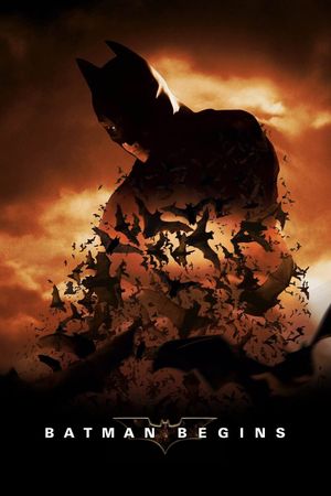 Batman Begins's poster