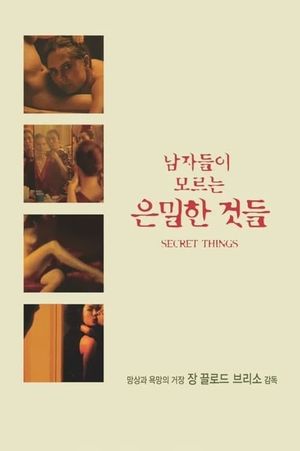 Secret Things's poster