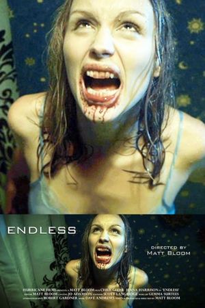 Endless's poster