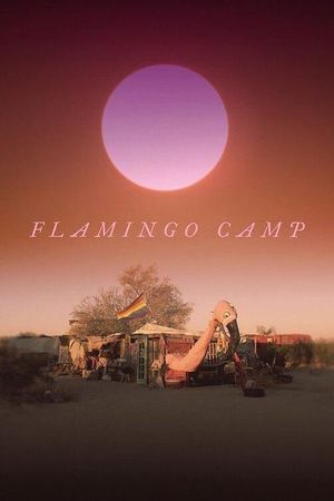 Flamingo Camp's poster
