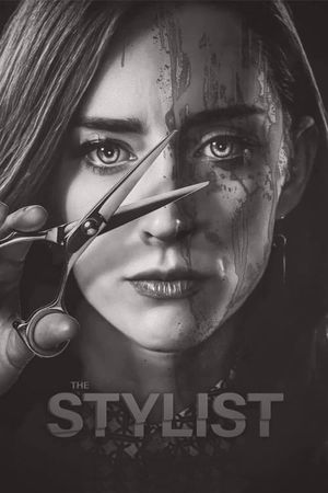 The Stylist's poster