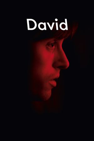 David's poster