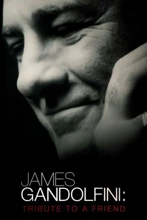 James Gandolfini: Tribute to a Friend's poster image