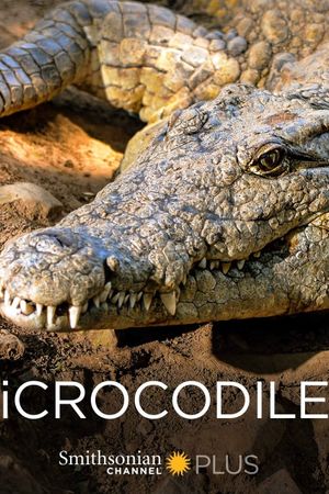 iCrocodile's poster
