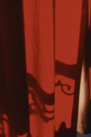 Roter Vorhang's poster