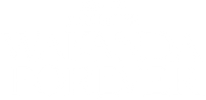 Black Panther: Wakanda Forever's poster