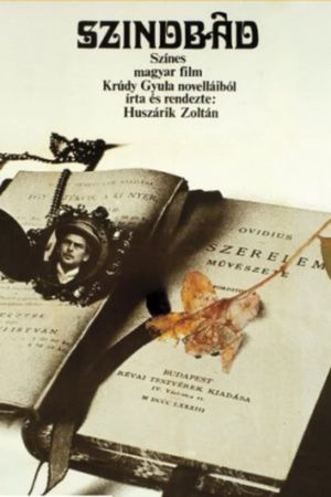 Sinbad's poster