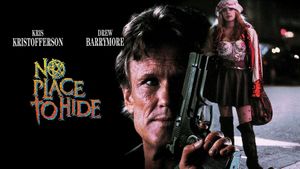 No Place to Hide's poster