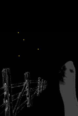 Fireflies Along the Fence's poster