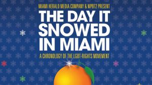 The Day It Snowed in Miami's poster