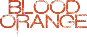 Blood Orange's poster