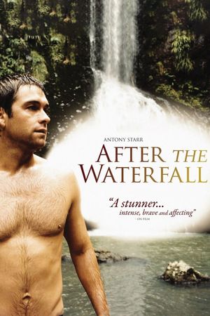 After the Waterfall's poster