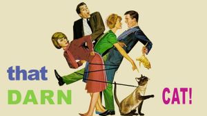 That Darn Cat!'s poster