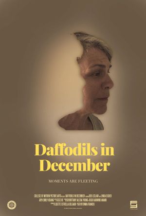 Daffodils in December's poster image