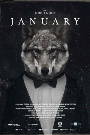 January's poster