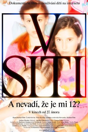 Caught in the Net's poster
