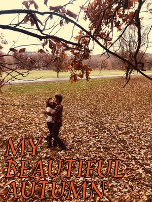 My Beautiful Autumn's poster