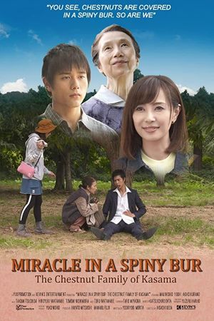 Miracle in Kasama's poster