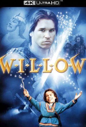 Willow's poster