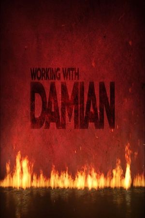 Working With Damian's poster