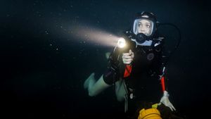 47 Meters Down's poster