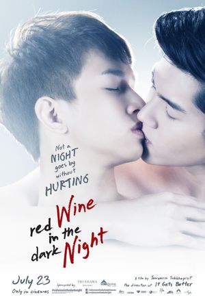 Red Wine in the Dark Night's poster