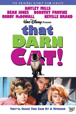 That Darn Cat!'s poster