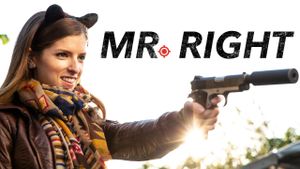 Mr. Right's poster