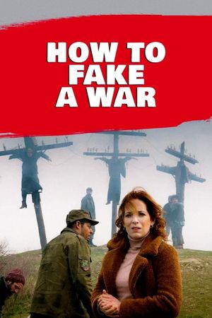 How to Fake a War's poster