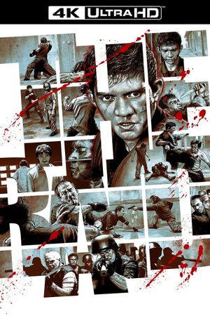 The Raid: Redemption's poster