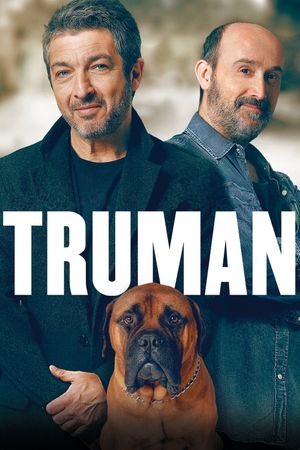 Truman's poster