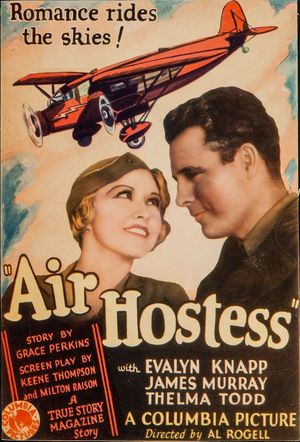 Air Hostess's poster