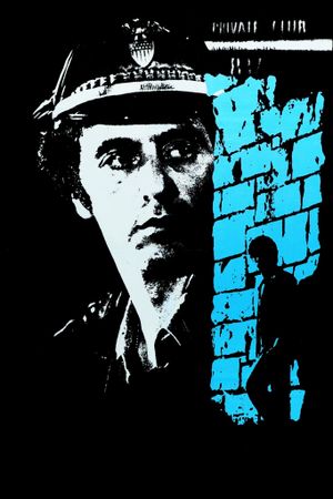 Cruising's poster