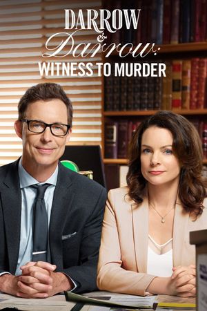 Darrow & Darrow: Witness to Murder's poster