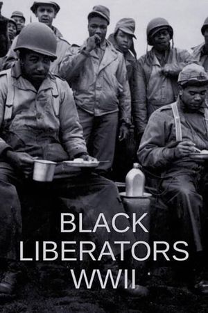 Black Liberators WWII's poster