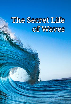 The Secret Life of Waves's poster image