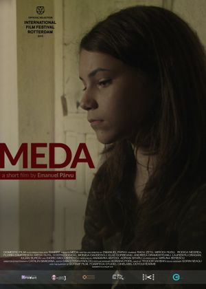 Meda's poster