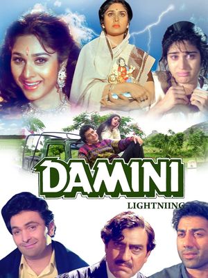 Damini's poster