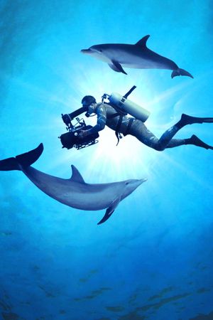 Diving with Dolphins's poster