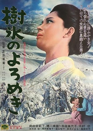 Affair in the Snow's poster