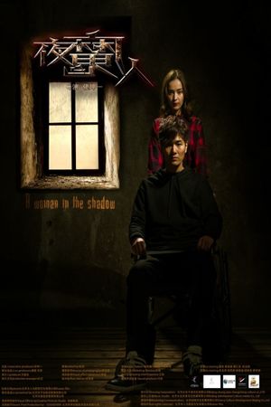 A Woman in the Shadow's poster image