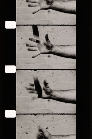 Hand Catching Lead's poster