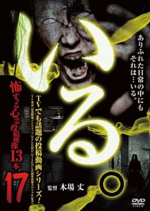 「Iru.」~ Kowasugiru Tōkō Eizō 13-hon ~ Vol.17's poster