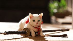 Neko Samurai: A Tropical Adventure's poster