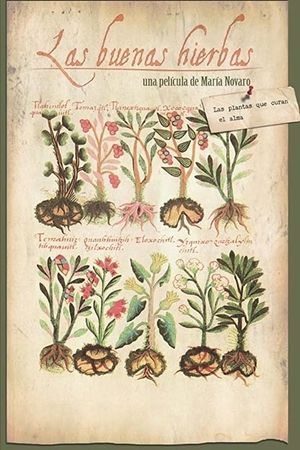 Las Buenas Hierbas's poster